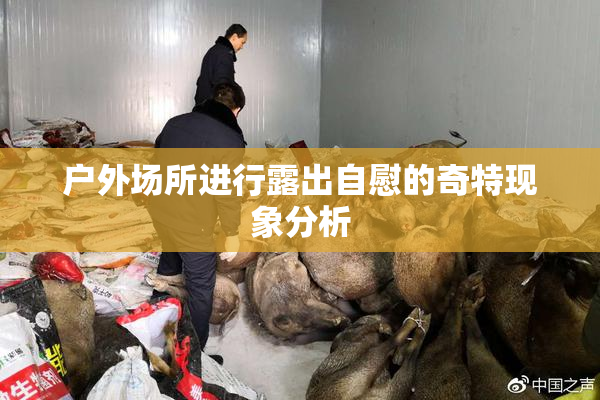户外场所进行露出自慰的奇特现象分析