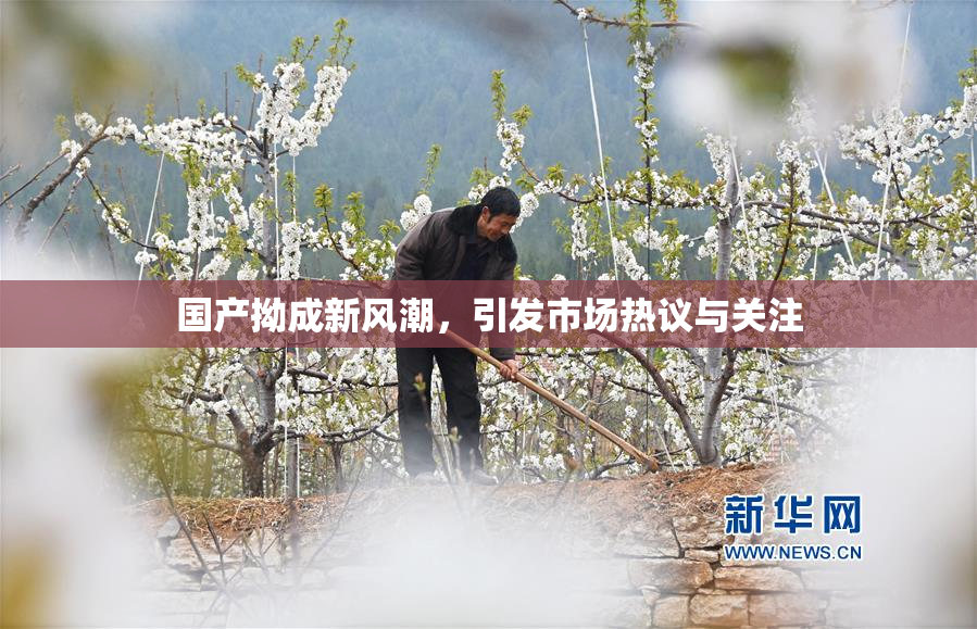 国产拗成新风潮，引发市场热议与关注