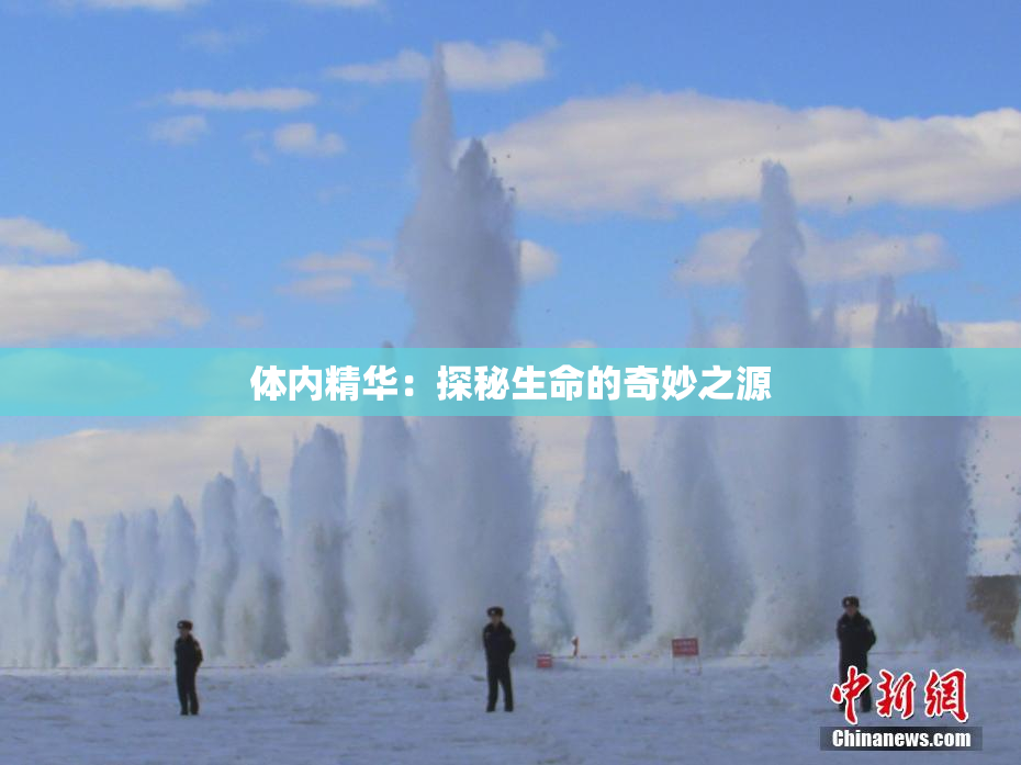 体内精华：探秘生命的奇妙之源
