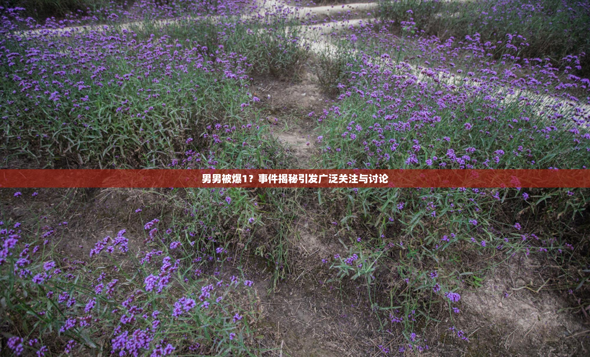 男男被爆1？事件揭秘引发广泛关注与讨论