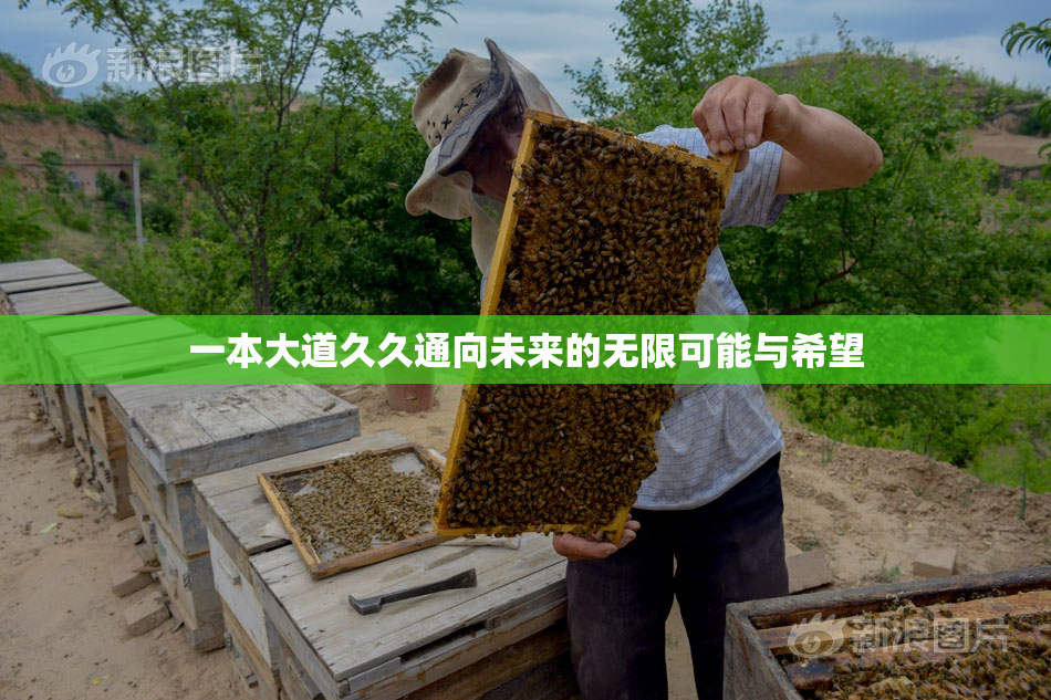 一本大道久久通向未来的无限可能与希望