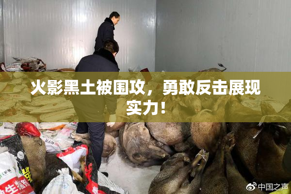 火影黑土被围攻，勇敢反击展现实力！