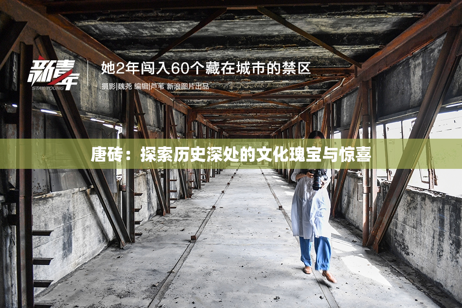 唐砖：探索历史深处的文化瑰宝与惊喜
