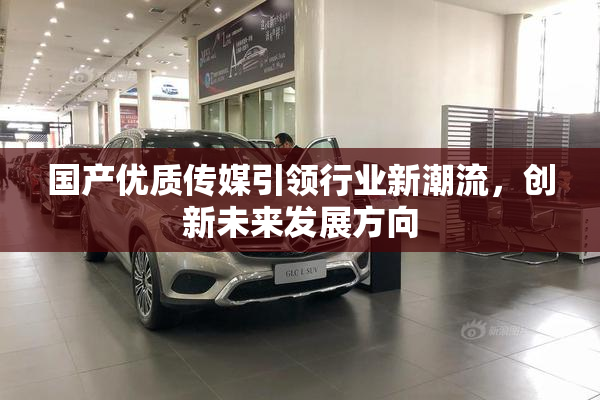 国产优质传媒引领行业新潮流，创新未来发展方向