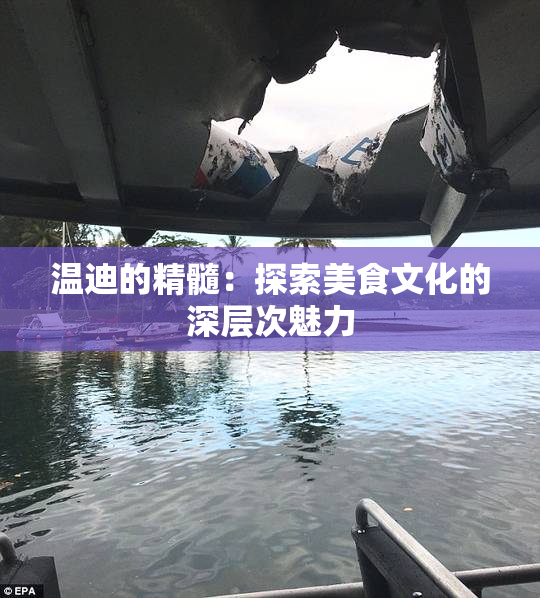 温迪的精髓：探索美食文化的深层次魅力