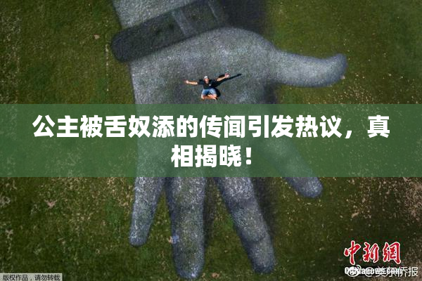 公主被舌奴添的传闻引发热议，真相揭晓！