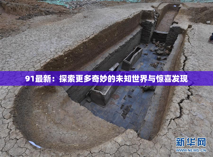 91最新：探索更多奇妙的未知世界与惊喜发现