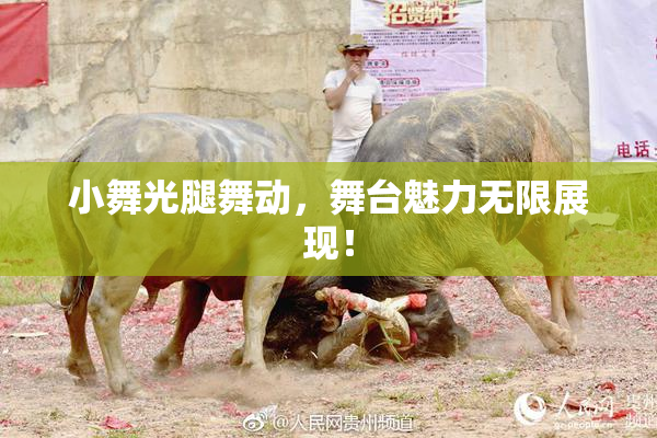 小舞光腿舞动，舞台魅力无限展现！