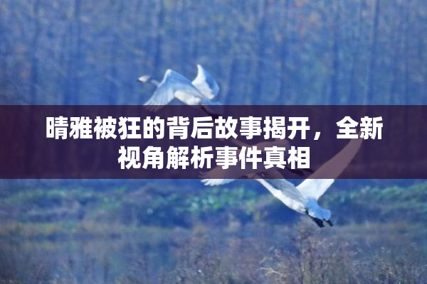 晴雅被狂的背后故事揭开，全新视角解析事件真相