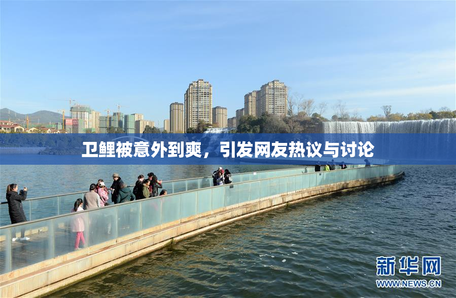 卫鲤被意外到爽，引发网友热议与讨论