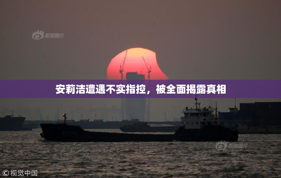 安莉洁遭遇不实指控，被全面揭露真相