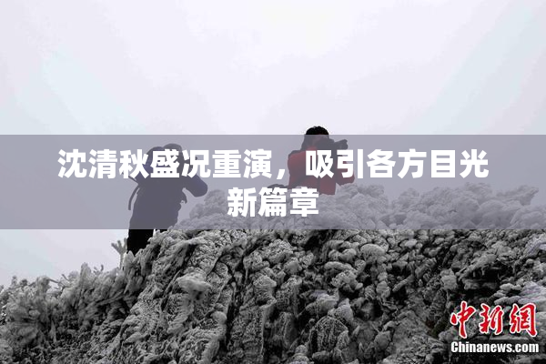 沈清秋盛况重演，吸引各方目光新篇章