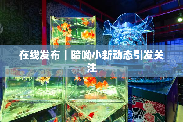 在线发布丨暗呦小新动态引发关注