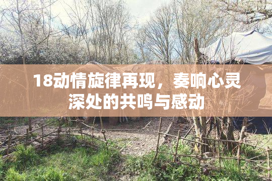 18动情旋律再现，奏响心灵深处的共鸣与感动