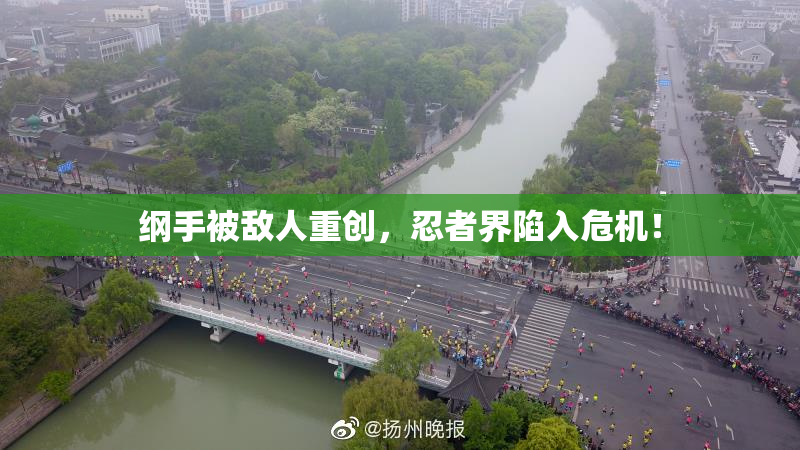 纲手被敌人重创，忍者界陷入危机！