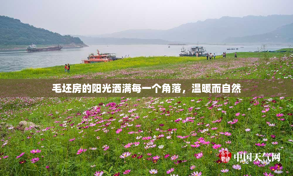 毛坯房的阳光洒满每一个角落，温暖而自然