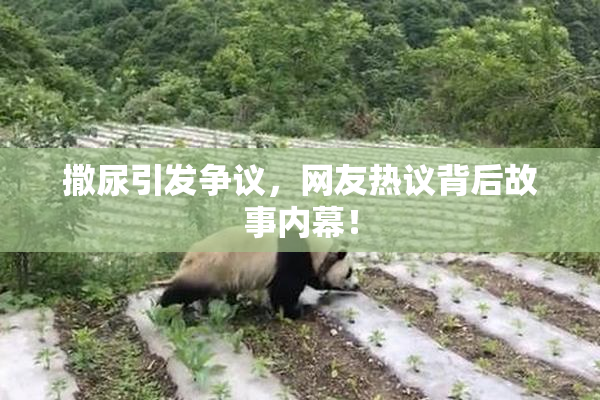 撒尿引发争议，网友热议背后故事内幕！