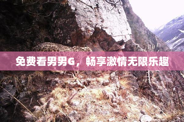 免费看男男G，畅享激情无限乐趣