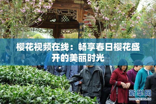 樱花视频在线：畅享春日樱花盛开的美丽时光