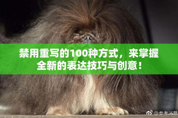 禁用重写的100种方式，来掌握全新的表达技巧与创意！