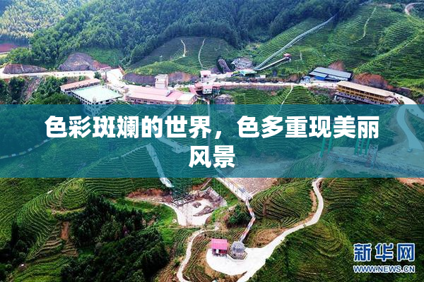 色彩斑斓的世界，色多重现美丽风景