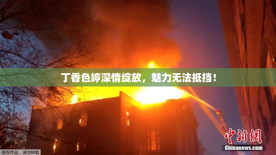 丁香色婷深情绽放，魅力无法抵挡！