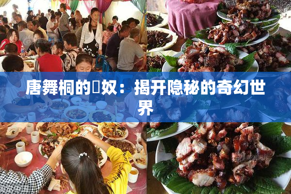 唐舞桐的婬奴：揭开隐秘的奇幻世界