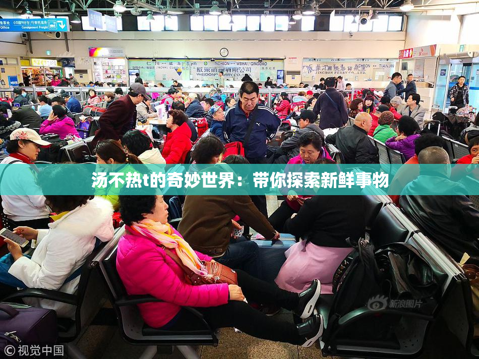 汤不热t的奇妙世界：带你探索新鲜事物