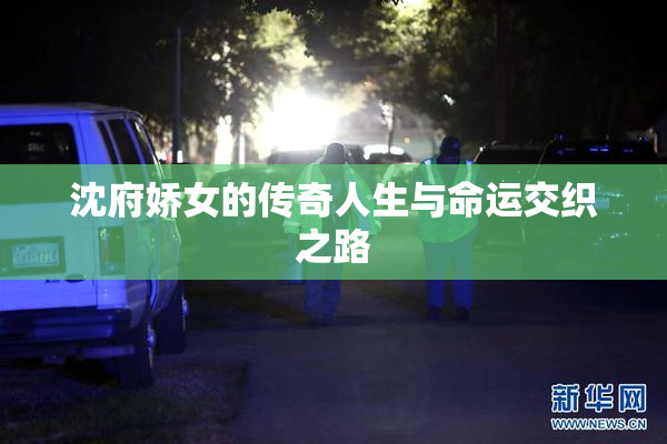 沈府娇女的传奇人生与命运交织之路