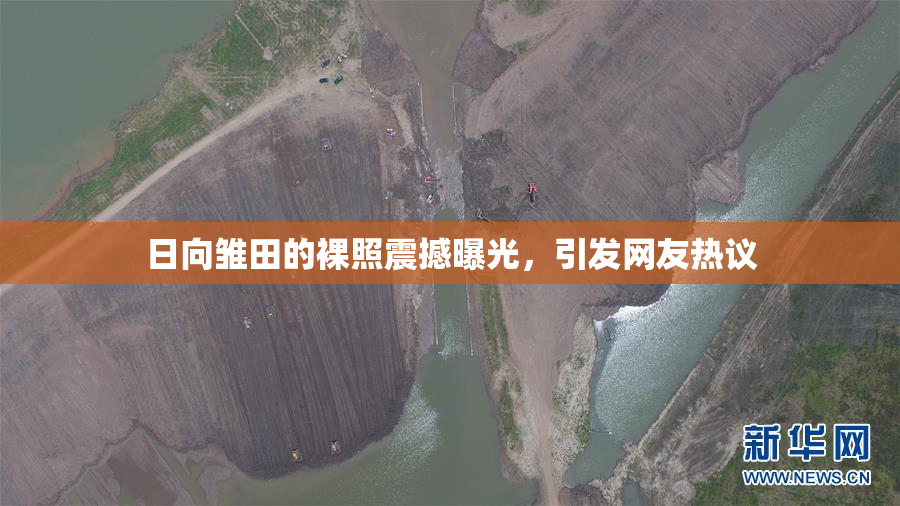 日向雏田的裸照震撼曝光，引发网友热议