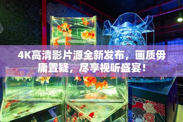 4K高清影片源全新发布，画质毋庸置疑，尽享视听盛宴！