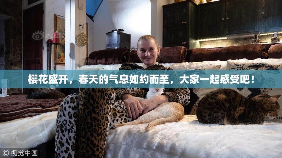 樱花盛开，春天的气息如约而至，大家一起感受吧！