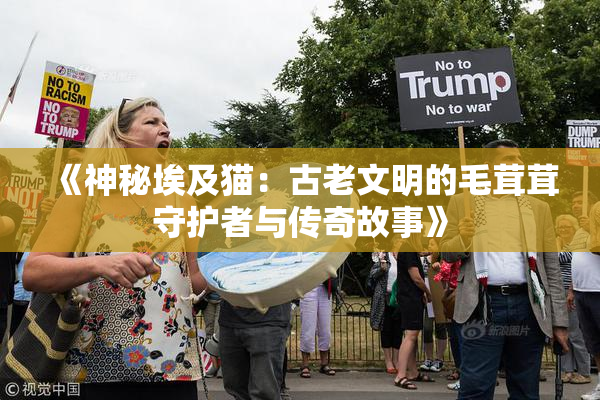 《神秘埃及猫：古老文明的毛茸茸守护者与传奇故事》