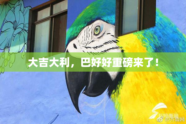 大吉大利，巴好好重磅来了！
