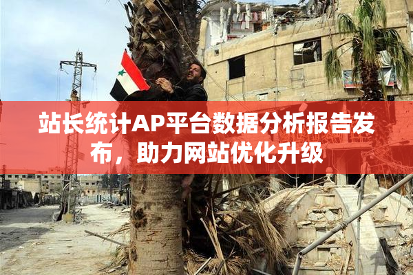 站长统计AP平台数据分析报告发布，助力网站优化升级