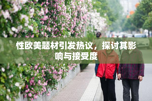 性欧美题材引发热议，探讨其影响与接受度