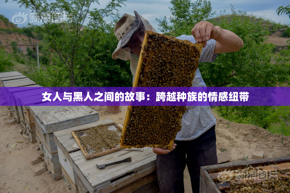 女人与黑人之间的故事：跨越种族的情感纽带