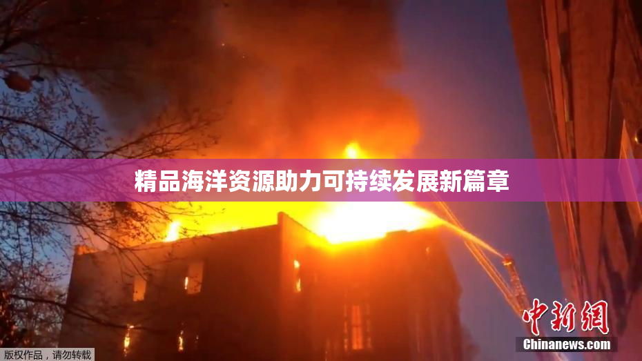 精品海洋资源助力可持续发展新篇章