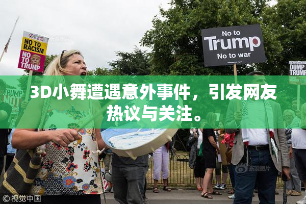 3D小舞遭遇意外事件，引发网友热议与关注。