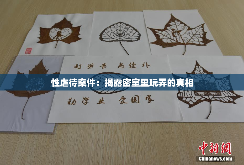 性虐待案件：揭露密室里玩弄的真相