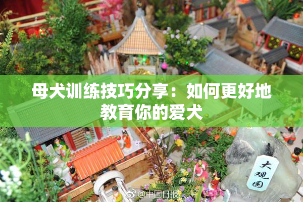 母犬训练技巧分享：如何更好地教育你的爱犬