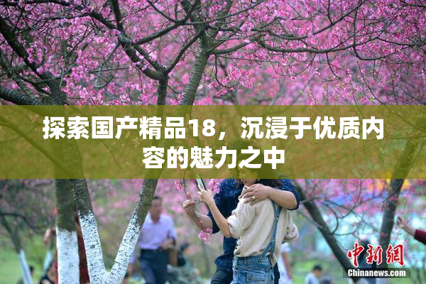 探索国产精品18，沉浸于优质内容的魅力之中
