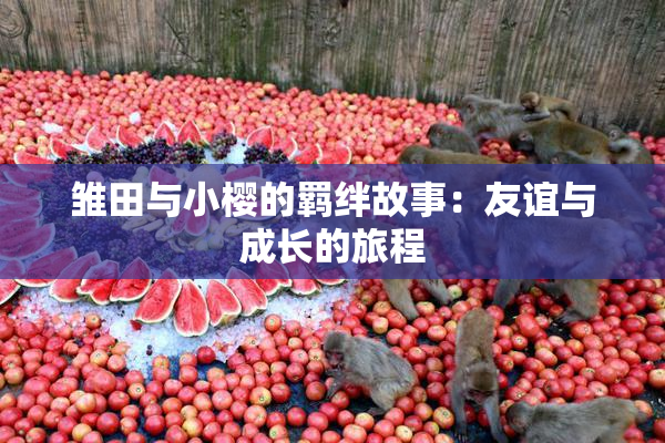 雏田与小樱的羁绊故事：友谊与成长的旅程