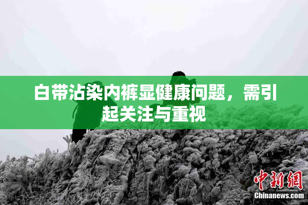 白带沾染内裤显健康问题，需引起关注与重视