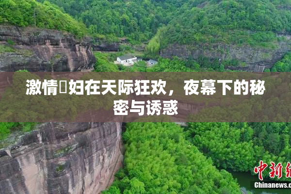 激情婬妇在天际狂欢，夜幕下的秘密与诱惑