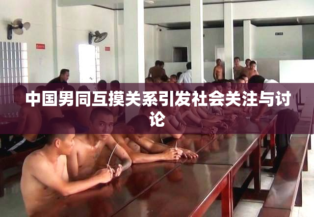 中国男同互摸关系引发社会关注与讨论