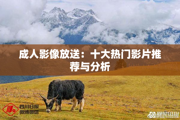 成人影像放送：十大热门影片推荐与分析