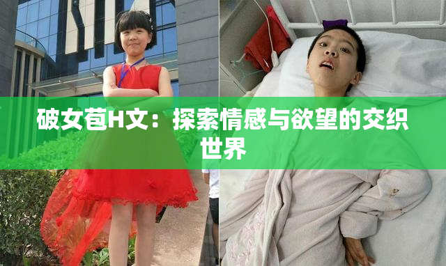 破女苞H文：探索情感与欲望的交织世界