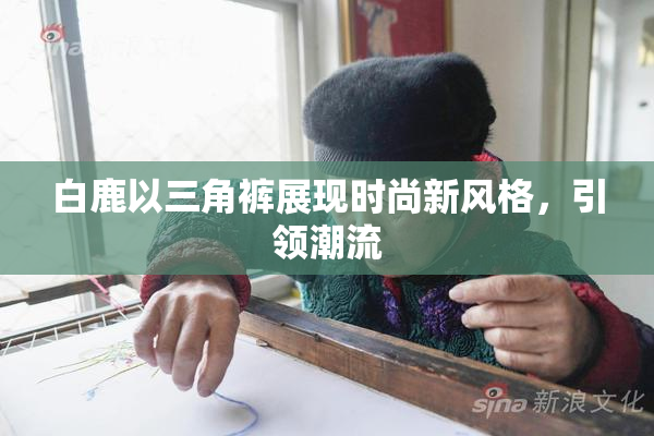 白鹿以三角裤展现时尚新风格，引领潮流