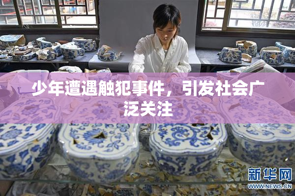 少年遭遇触犯事件，引发社会广泛关注